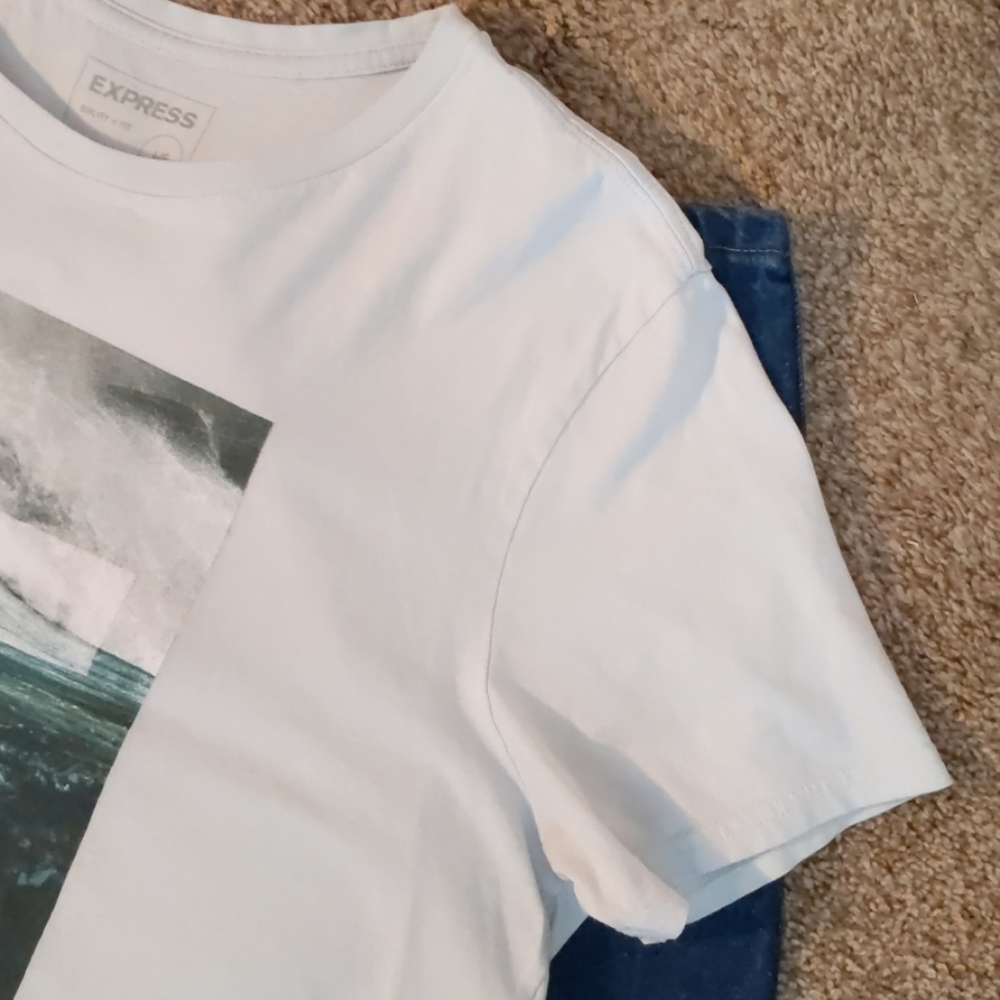 Express { EXP } Light Gray T-shirt . Size L - Picture 5 of 11